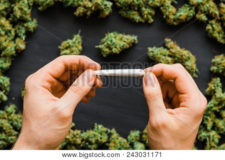 Grinder A Lot Ofx Marijuana, Fresh Buds Of Cannabis Many Weed. Copy Spase Copy-space