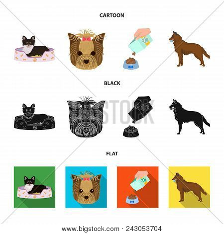 A Dog In A Lounger , A Muzzle Of A Pet, A Bowl With A Feed, A Sheepdog With A Ball In His Teeth. Pet