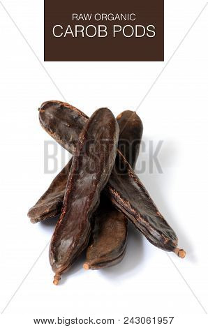 Ripe Carob Pods, Carob Powder Can Be Used As A Substitute For Cocoa