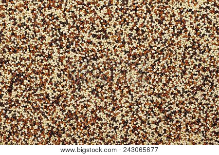 Mixed Quinoa Seeds, Surface And Background. Pseudocereal. Yellow, Red And Black Edible Fruits Of Gra