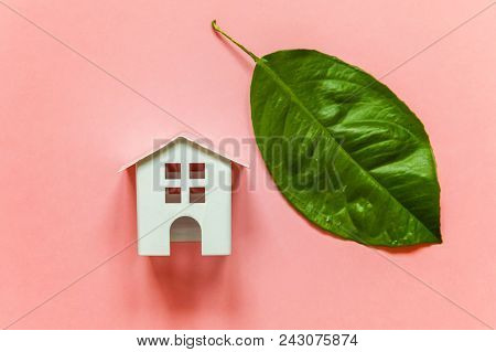 Miniature Toy Model House With Green Leaves On Pink Pastel Colourful Trendy Backgdrop. Eco Village, 