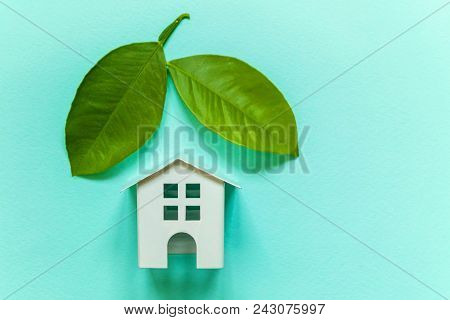 Miniature Toy Model House With Green Leaves On Blue Pastel Colourful Trendy Backgdrop. Eco Village, 