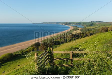 Slapton Sands Beach And Coast Devon England Uk Used By Us Army In Preparation For The D-day Landings