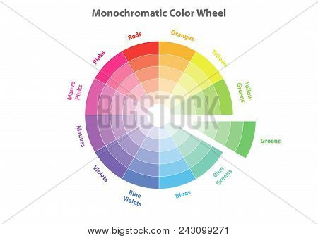 Monochromatic Color Wheel, Color Scheme Theory, Greens Color In Evidence, Vector Isolated Or White B