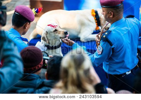 KATHMANDU, NEPAL - OCTOBER 29, 2016: Nepal police celebrates Kukur Tihar (dog festival) at Central Police Dog Training School.