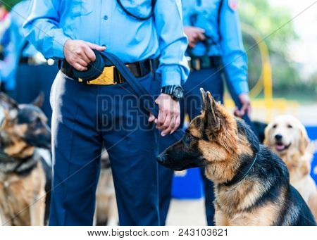 KATHMANDU, NEPAL - OCTOBER 29, 2016: Nepal police celebrates Kukur Tihar (dog festival) at Central Police Dog Training School.