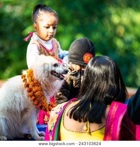 KATHMANDU, NEPAL - OCTOBER 29, 2016: Nepal police celebrates Kukur Tihar (dog festival) at Central Police Dog Training School.