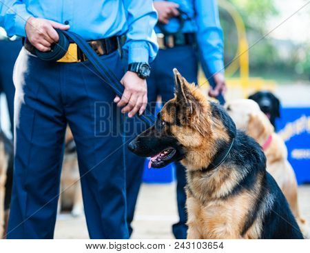 KATHMANDU, NEPAL - OCTOBER 29, 2016: Nepal police celebrates Kukur Tihar (dog festival) at Central Police Dog Training School.
