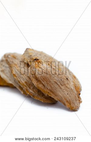 Dried Mango Seeds Or Sukhi Aam Ki Ghuthli Isolated On White.