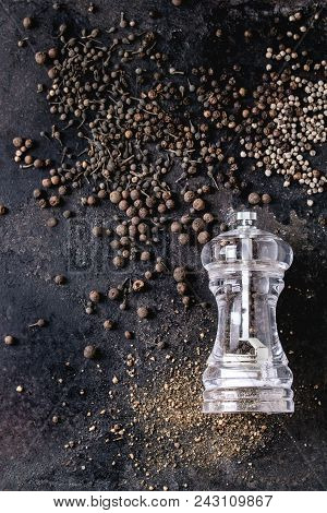 Variety Of Different Black Peppers Allspice, Pimento, Long Pepper, Monks Pepper, Peppercorns And Gro