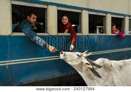 27 February 2018 India. Two Indians Feed The Cow Through Train Window