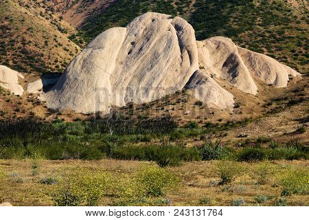 Sandstone Rocks Uplifted From The San Andreas Fault And Surrounded With Chaparral Shrubs And Wildflo