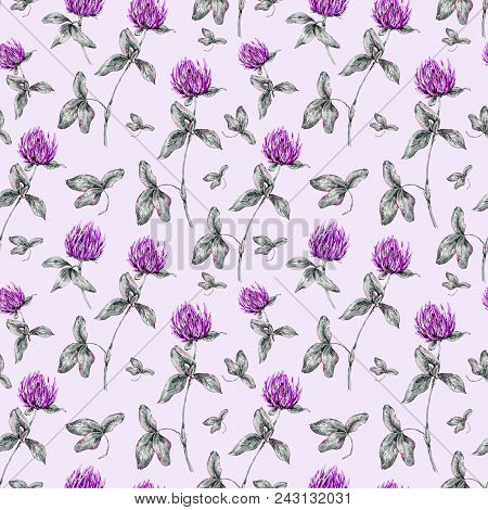 Watercolor Summer Seamless Pattern Of Alsike Clover, Medicinal Flowers, Wildflowers. Botanical Natur