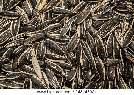 Flower, Sun, Seeds, Seed, Background, White, Sunflower, Isolated, Dry, Food, Organic, Agriculture, R