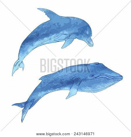 Set Of Isolated Marine Animals. Whale And Dolphin On A White Background. Hand Drawing In Sketch Styl