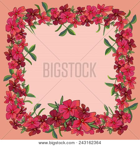 Floral Template With Flowers Isolated On Pink. Excellent Print For Greeting Cards, Gift Box.