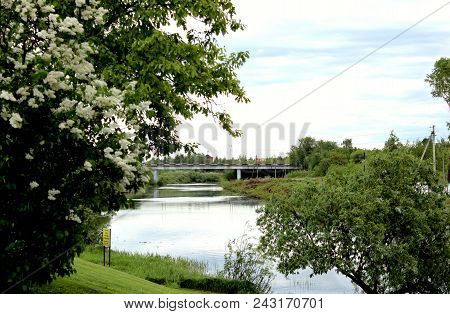 Nature Road Bridge In The Distance Across The River