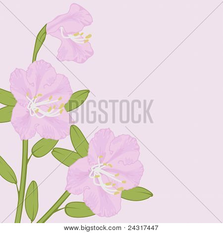 โดเดนดรอนของเวกเตอร์