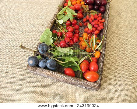 Wild Fruits In Wooden Box With Barberries, Cornelian Cherries, Sea Buckthorn Fruits, Rose Hips, Sloe