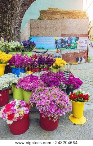 Istanbul, Turkey: Old Woman-seller Of Spring Beautiful Flowers On A Street Of Kuzguncuk District On 