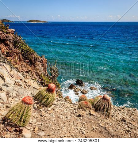 Seaside view from a small island in BVI with cacti in the foreground