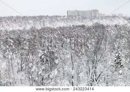 Above View Of Snow-covered Urban Timiryazevskiy Park In Moscow City In Winter Evening