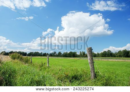Beautiful Rapeseed Field With Imposing Sky In The Lüneburg Heath, Northern Germany.