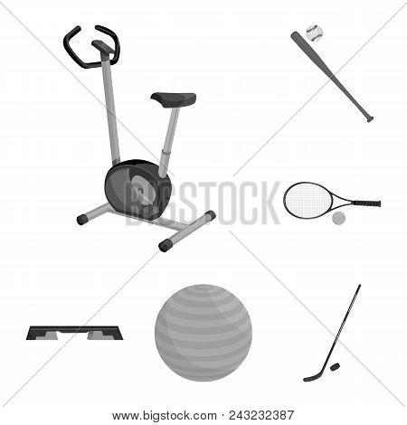 Different Kinds Of Sports Monochrome Icons In Set Collection For Design. Sport Equipment Vector Symb