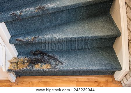Old Staircase With Damaged Carpet Needs A Fixer Upper