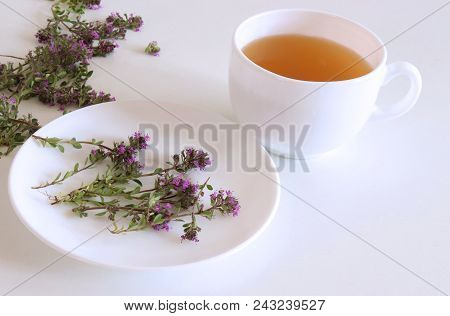 Thymus Pulegioides Tea And Leaves, Tea Is Effective During Diseases Of The Upper Respiratory Tract.