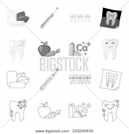 A Tooth With Brilliant Sparkling, An Apple With Carrots Useful For Teeth, Milk In A Box, Cheese And 