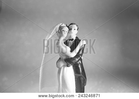 Wedding Couple Marriage Dolls