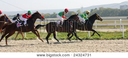 Horse Racing