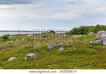 The Northern Nature Of The Subpolar Tundra On Big Zayatsky Island, Russia