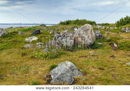 The Northern Nature Of The Subpolar Tundra On Big Zayatsky Island, Russia