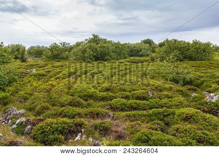 Stone Labyrinth On  Big Zayatsky Island, Russia