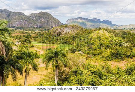 Vinales, Cuba. January 2018. A View Of The Landscape , In Vinales, Cuba.