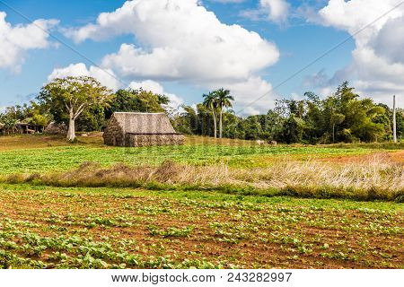 Vinales, Cuba. January 2018. A View Of A Farm House In The Landscape In Vinales, Cuba.