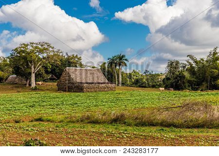 Vinales, Cuba. January 2018. A View Of A Farm House In The Landscape In Vinales, Cuba.