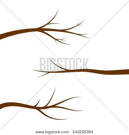 Vector Set Of Bare Tree Branches. Vector Illustration.