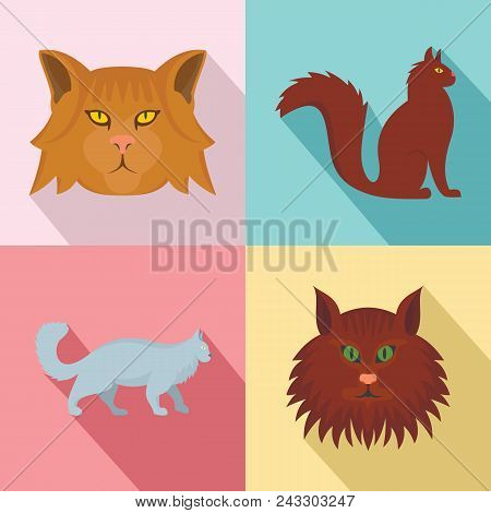 Maine Coon Cat Profile Icons Set. Flat Illustration Of 4 Maine Coon Cat Profile Vector Icons For Web