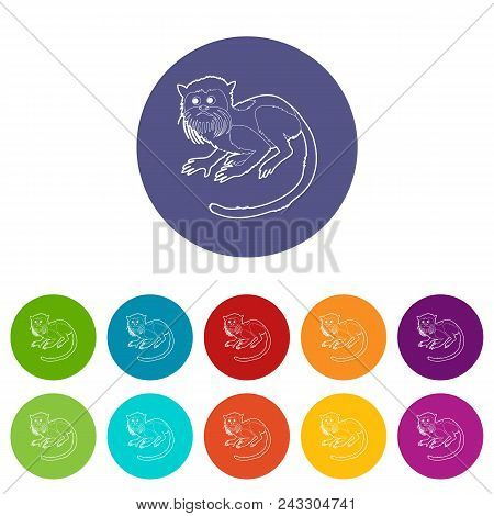 Imperial Tamarin Icons Color Set Vector For Any Web Design On White Background