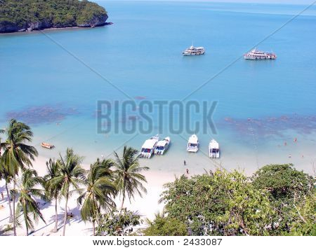 Exotic Beach