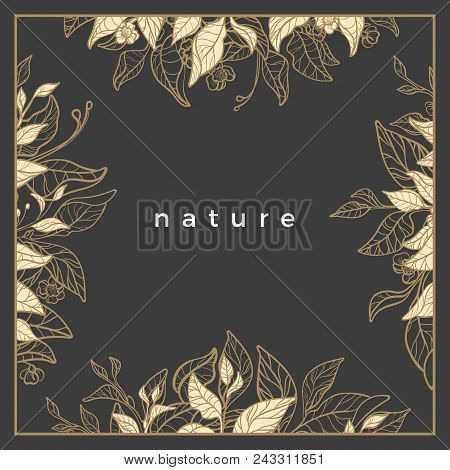 Vector Banner Elegant Vector Photo Free Trial Bigstock