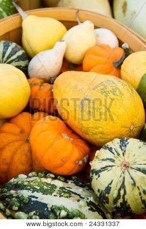 Basket of gourds