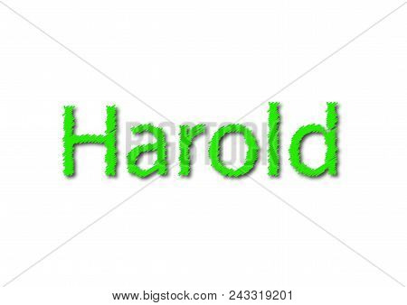Illustration, Name Harold Isolated In A White Background