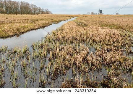 Marshy Landscape In The Netherlands  At The End Of The Winter Season. In The Background A Historic W