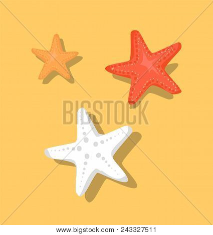 Starfish Or Sea Stars Star-shaped Echinoderms Isolated On Beige Sand Background. Set Of Starfish Col