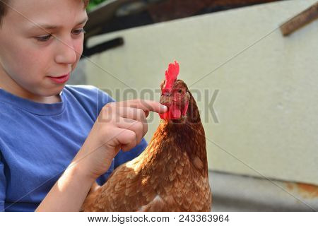 A Boy Is Holding A Brown Chicken And Smiling