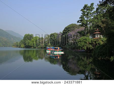 Small Pagoda And Purple Flowering Trees In Pokhara, Nepal.